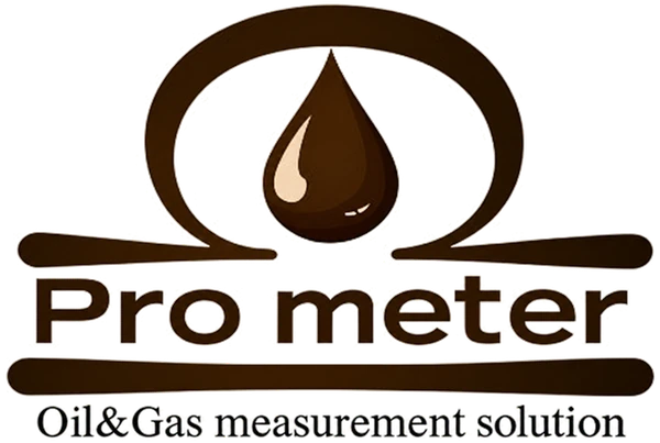 Pro meter — Oil & Gas measurement solution
